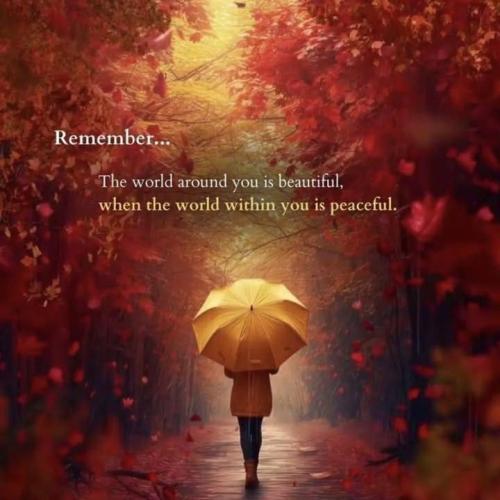 586246020_1447482040483684_7208395902733441753_n