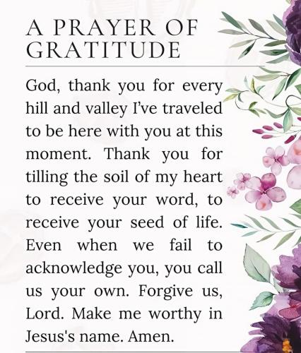 583936311_122154025196694146_7870737898297314909_n