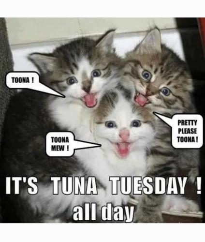 42c389815074ef2a65803b505e6f0493