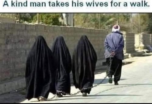 FB_IMG_1764139758415