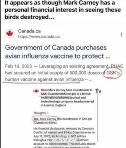 FB_IMG_1762710344905