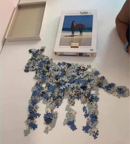 horse-puzzle