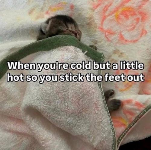 cold-but-little-hot-so-stick-feet-out