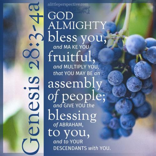 gen-28-3-KJV-unsplash-9x