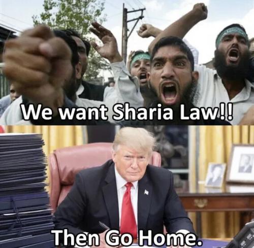 SHARIA LAW GO HOME NOW