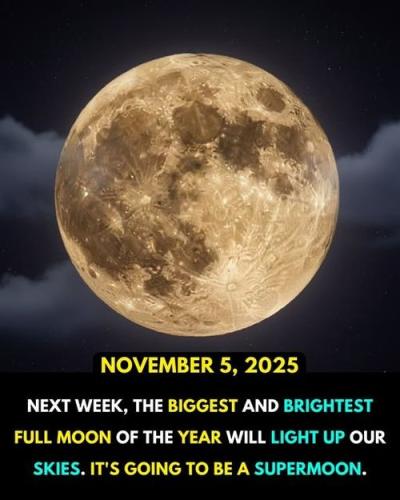 01k9000e78yrga1dc67cfsfqgs