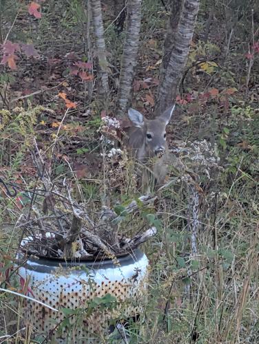 PXL_20251104_125538987