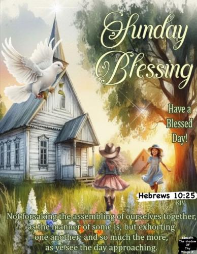 572809257_18030571379743683_3772828852404657483_n