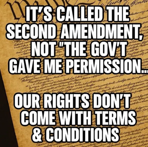 image_2025-11-19_060135607