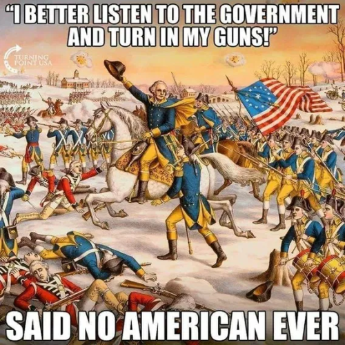 image_2025-11-19_060753975