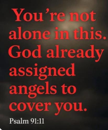 IMG_20251108_233054_695