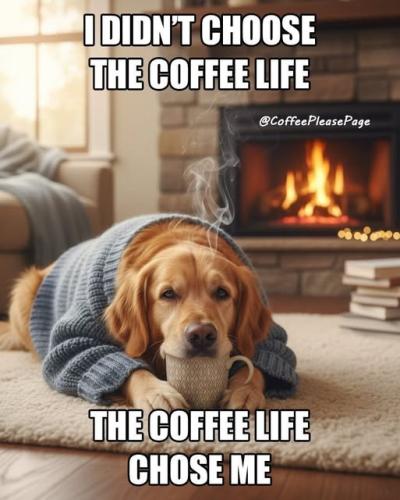 581726436_122216791220269736_6936825582663929048_n