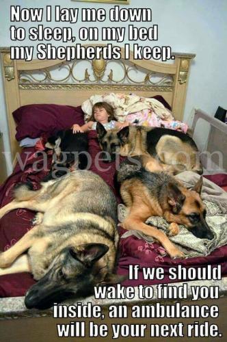 88852d04a76a67613f6b9988deb72114