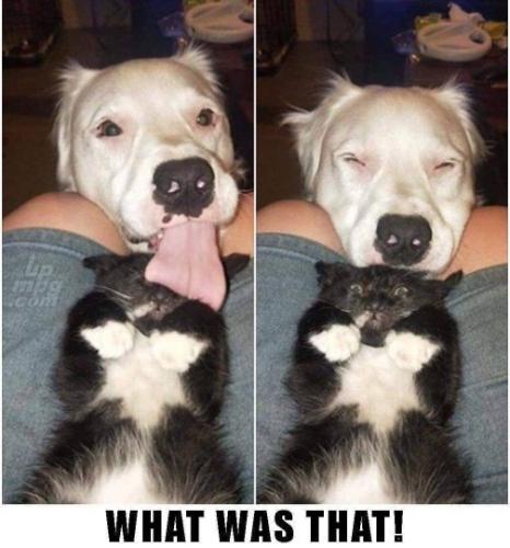 main-qimg-59487bb4442b271807d8c256094af9f5