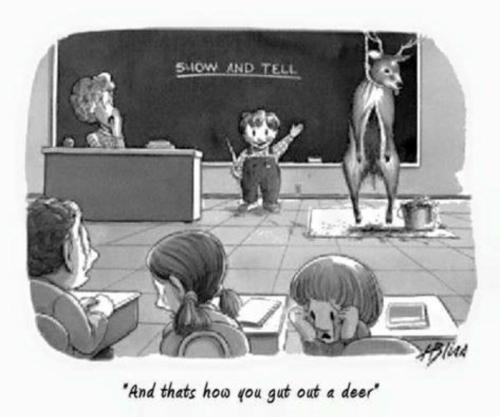 image_5BEF67E9-CCDB-4785-A00A-3E5DF1CD95D1