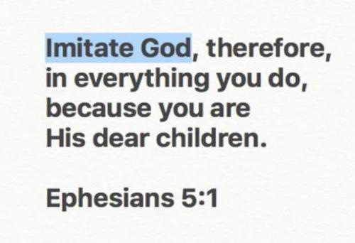 IMG_20251116_142156_825