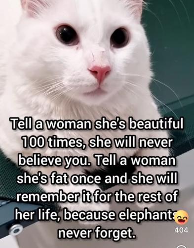 8E6B609C-5DF8-406C-B53B-2B9CAA1DDF6A