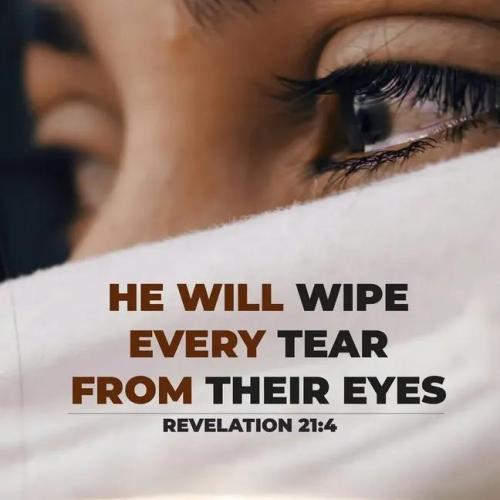 IMG_20251121_193921_656