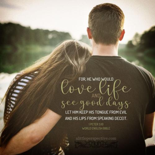 1-pet-3-10-WEB-kaboompics-CREDIT