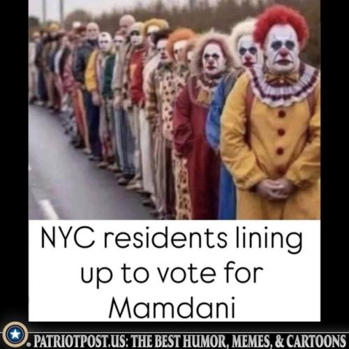 01K9977E00225QD03K54V1N1WS