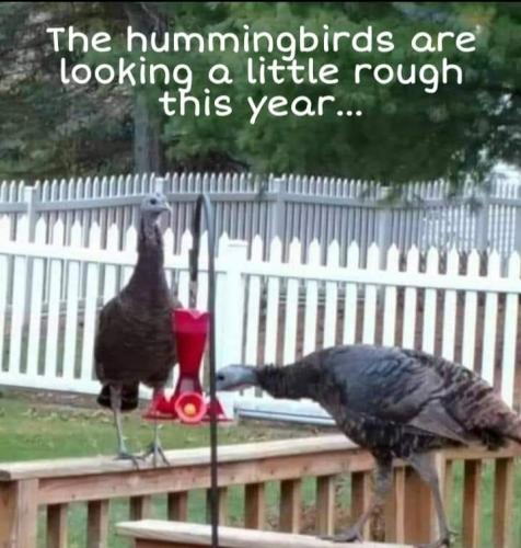 Screenshot_20251123_180612_Gallery