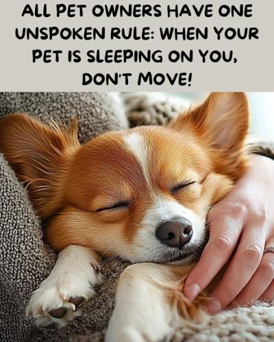 c6e04f666e7ccb1991a3420cbf9c0a9d