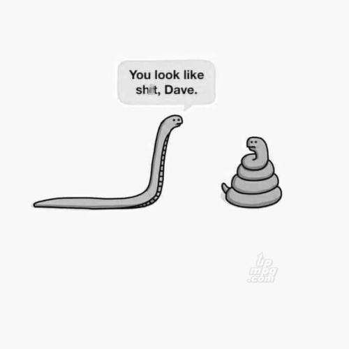 main-qimg-c96ab6d6f88f6af744c44f45876a135d