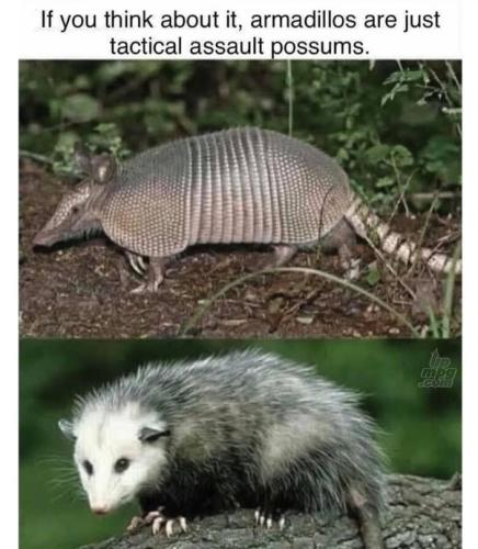 main-qimg-b5f9b8dd03f993b024868c8f105cba4a