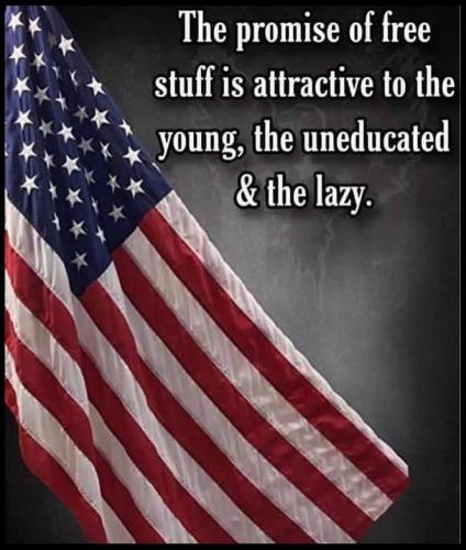 c67db8f349f1a9d29113036c88f21fe7