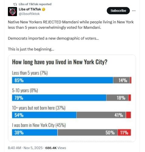 Replacement Theory - Import New Voters 1