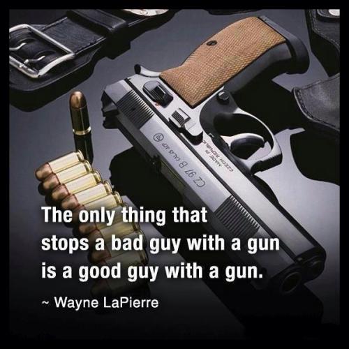 the-only-thing-that-stops-a-bad-guy-with-a-gun-is-a-good-guy-with-a-gun-quote-2