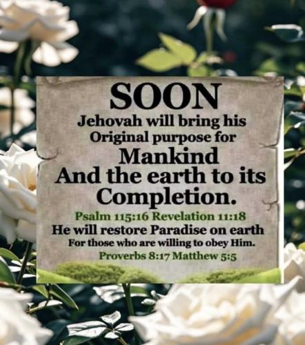 231d3a08474e47e048e175532c872a95