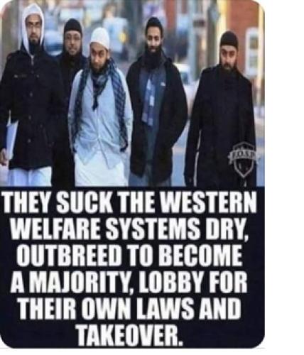 They intentionally suck the western welfare systems dry OFTEN BY FRAUDS AND SCAMS ! Send Them ALL BACK NOW !