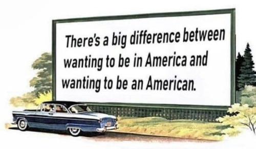 IMG_20251104_181953_913