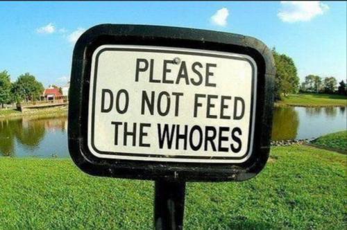 Please do not feed the whores