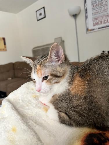 4D05E41E-6CD2-43B3-B029-CE740522528B