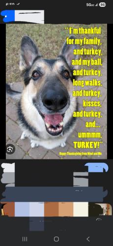 Screenshot_20251127_065954_Google