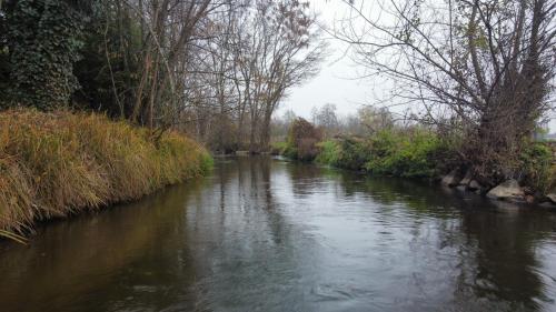 dji_fly_20251115_152704_686_1763220211133_photo_optimized