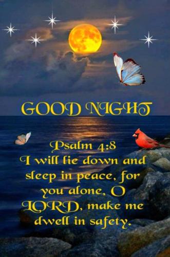 577174763_856079763565234_4107278461726823968_n