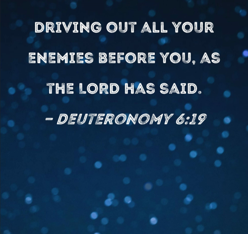 Screenshot_20251114-191515-812