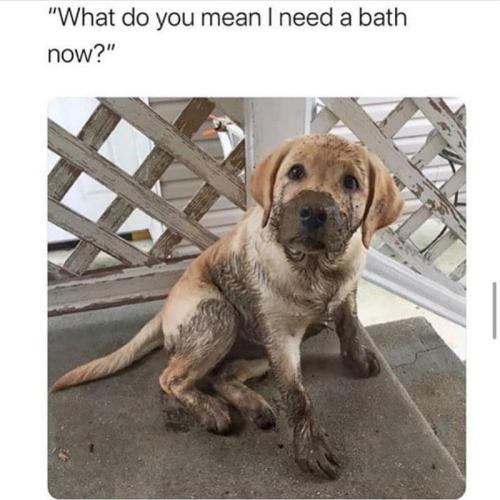 do-mean-need-bath-now