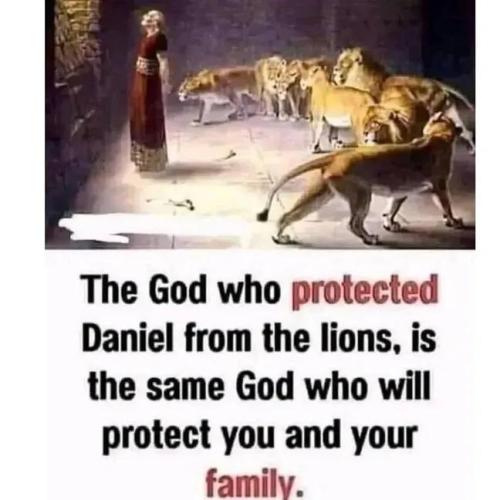 IMG_20251127_183523_920