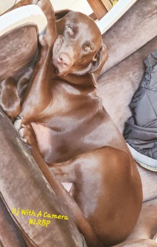 Screenshot_20251122_185136_Gallery