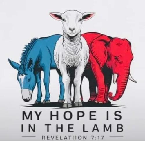 hope-is-in-lamb