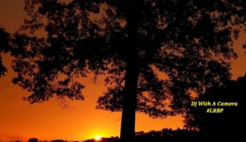 Screenshot_20251106_193928_Gallery