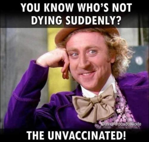 FB_IMG_1763441198256