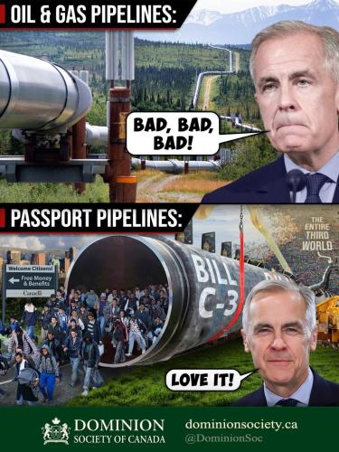 pipelines