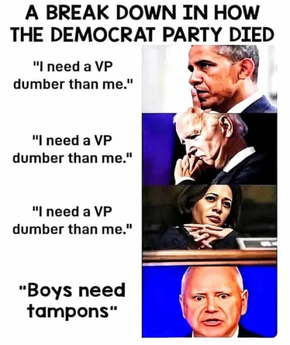 image_2025-11-23_084252339