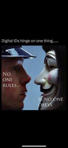 FB_IMG_1763099636592