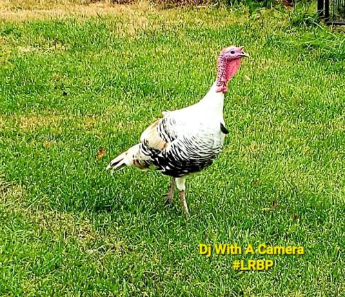 Screenshot_20251122_084804_Gallery